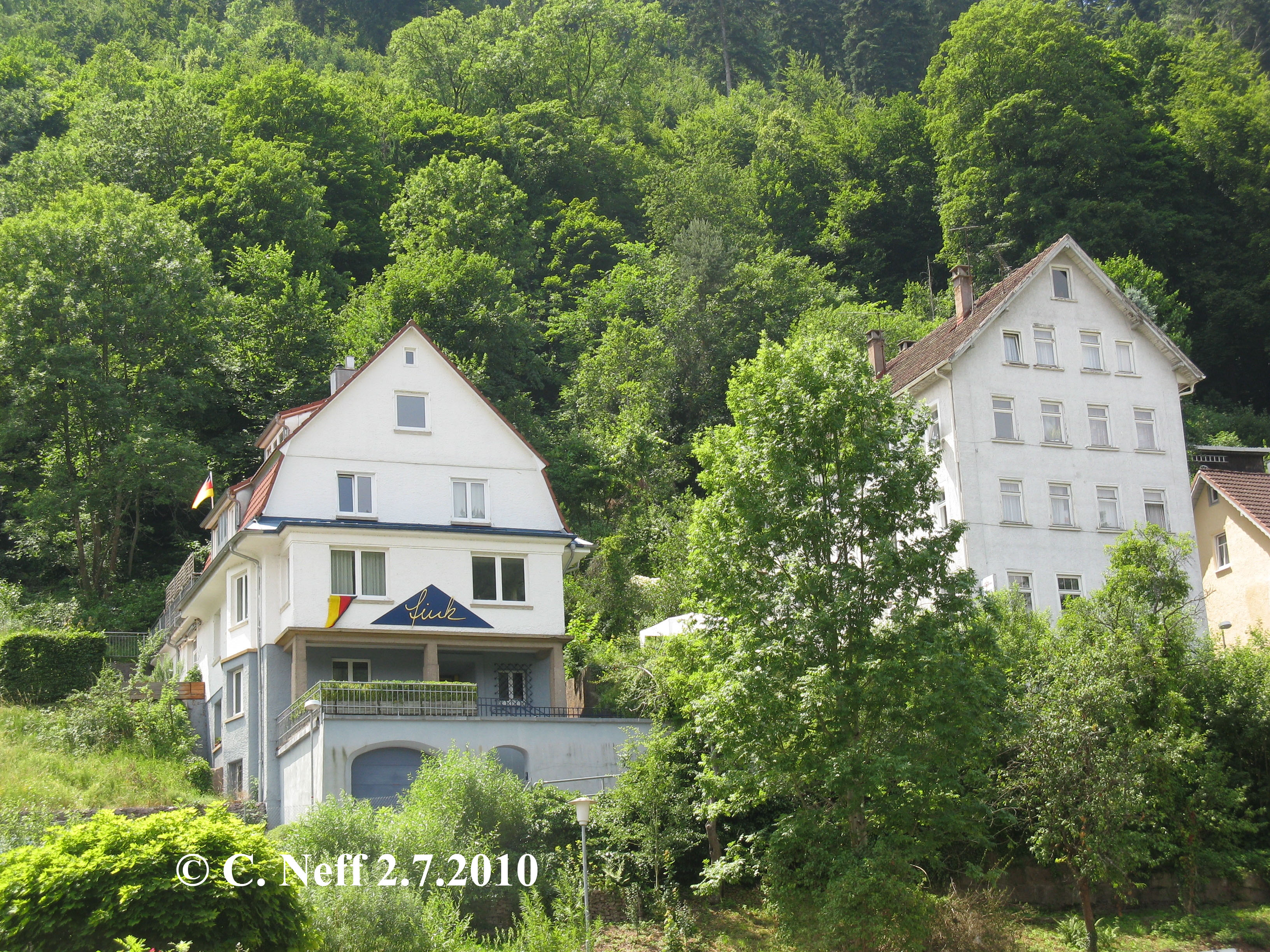 Verwaldung und Verbuschung in Schramberg 2.7.2010