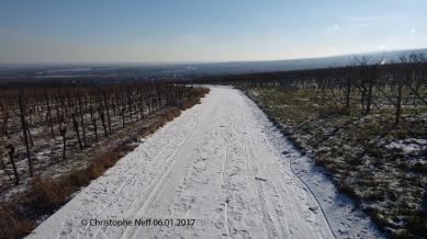 Janvier 2017  hiver sur le Grünstadter Berg (06.01.2017)